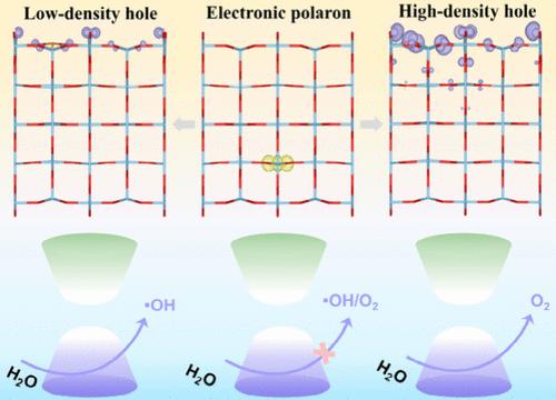 Pivotal Role of Surface Holes in Photocatalytic Oxygen Evolution