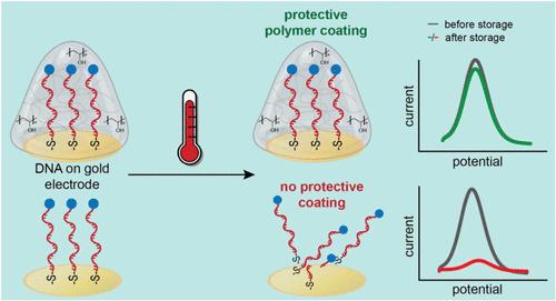 Polymer Coating for the Long-Term Storage of Immobilized DNA