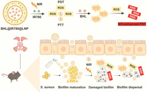 Synergistic Nitric Oxide Therapy and Phototherapy Using a Novel Bacteria Scavenger for Treatment of Acute Rhinosinusitis