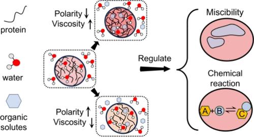 Small Molecules Influence the Physical Microenvironment of Biomolecular Condensates
