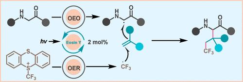 Alkyl-Trifluoromethylation of Glycine Derivatives