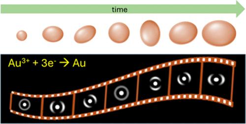 Electrochemical Calcite-Assisted Localization and Kinetics (E-CLocK) Microscopy