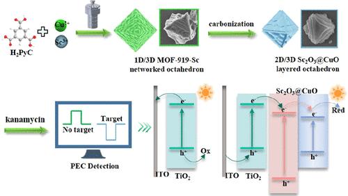 1D/3D MOF-919-Sc Networked Octahedron-Derived 2D/3D Sc2O3@CuO Layered Octahedron for Polarity-Switchable Photoelectrochemical Sensing