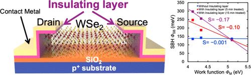 Contact Engineering in 2D Materials via an nm -Thick Hydrosoluble Polymer Insertion