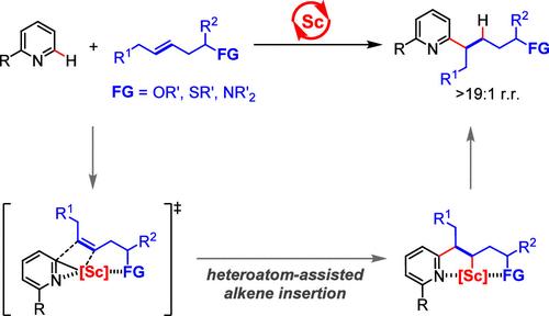 Regioselective Hydropyridylation of Heteroatom-Functionalized Internal Alkenes by Half-Sandwich Rare-Earth Catalysts