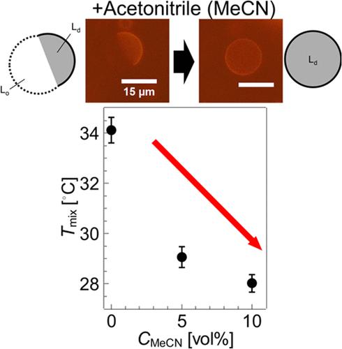 Disruption of Lipid Raft-like Domains by Acetonitrile: Insights from Experiments and Monte Carlo Simulations