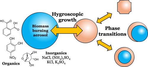 Hygroscopicity and Phase Transformations of Internally Mixed Organic–Inorganic Proxies of Biomass Burning Aerosol