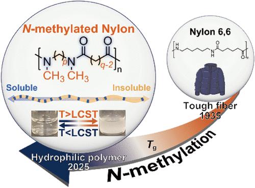 N-Methylated Nylons as a Novel Library of Degradable Hydrophilic Homopolymers