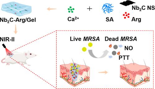 A NIR-II Laser-Triggered Nb2C-Arg/Gel Composite Multifunctional Hydrogel with Photothermal, ROS Scavenging, and NO Release for Infected Wound Healing