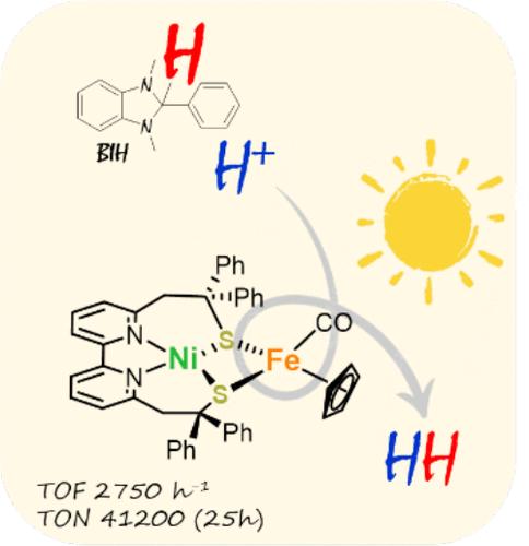 Unraveling Photo-Driven H2 Production with a Bio-Inspired NiFe Complex: Revealing an Unexpected Hydrogen Atom Source