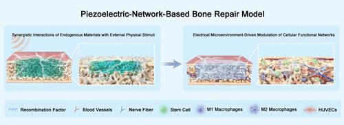 Biomimetic Bone Tissue Engineering Scaffolds Combined with Physical Stimulation to Reconstruct Piezoelectric Network for Functional Regeneration in Critical Bone Defects