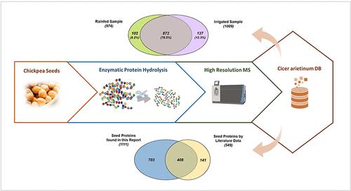 In-Depth Shotgun Proteomic Characterization of Chickpea (Cicer arietinumL.): A Case Study on the Genotype Pascià Grown Using Two Water Regimes