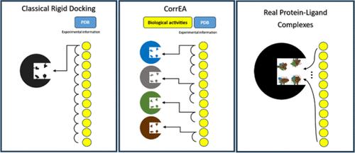 CorrEA: A Web Server for Optimizing Correlations between Calculated Energies and Activities in Ligand–Receptor Systems Considering Multiple Binding Site Conformations