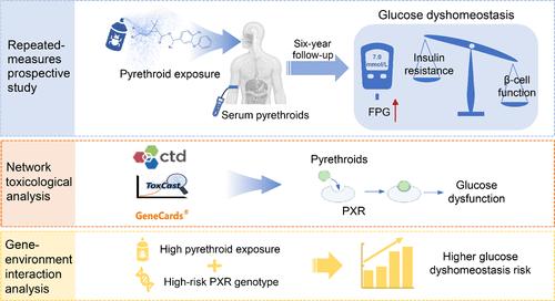Long-Term Environmental Pyrethroid Exposure, Pregnane X Receptor, and Glucose Dyshomeostasis: Unveiling Relationship and Potential Mechanism via Integrated Approaches