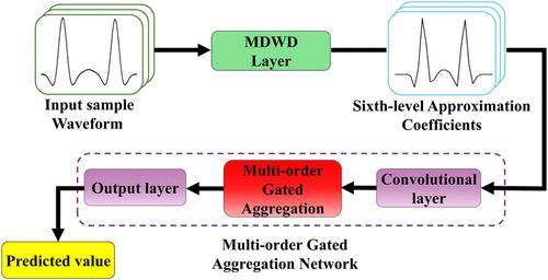 Multilevel Discrete Wavelet Decomposition-Assisted Lightweight Multi-Order Gated Aggregation Network for Gas Concentration Retrieval in WMS