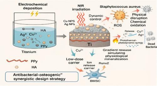 In Situ Electrochemical Fabrication of Photoreactive Ag–Cu Bimetallic Nanocomposite Coating and Its Antibacterial-Osteogenic Synergy