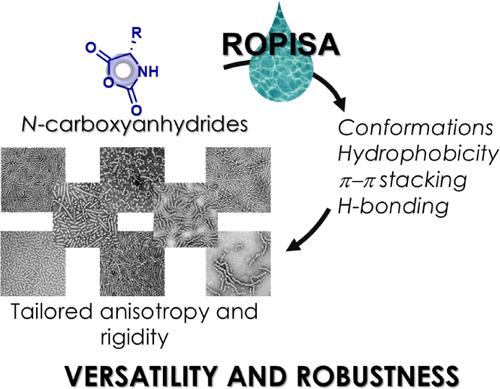 Aqueous Ring-Opening Polymerization-Induced Self-Assembly (ROPISA): Tailoring Anisotropic Nanoparticles through Amino Acid N-Carboxyanhydride (NCA) Monomer Selection