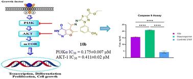 Novel furo[2,3-d]pyrimidine derivatives as PI3K/AKT dual inhibitors: design, synthesis, biological evaluation, and molecular dynamics simulation†