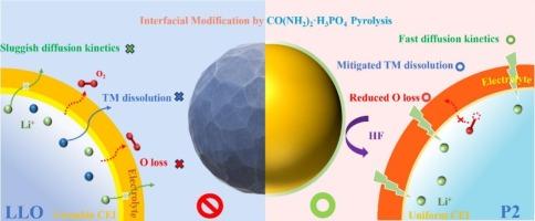 Interfacial potential regulation by spinel heterostructure to mitigate oxygen evolution in Lithium-Rich materials