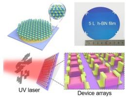 A liquid copper strategy for wafer-scale single-crystalline hexagonal boron nitride with tunable thickness