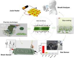 Surface functionalized MXene ink-enabled washable smart e-textiles with exceptional gas sensing properties