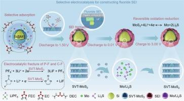 Surface selective electrocatalysis-derived ultra-dense and mechanically robust fluorinated solid electrolyte interface for high-capacity and long-cycling silicon electrode
