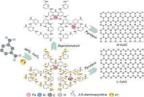 Deprotonation effect doubles active site density in Fe-N4-C catalyst for oxygen reduction electrocatalysis