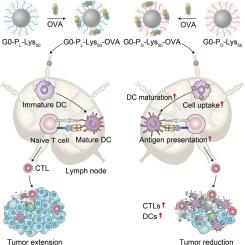 Unimolecular chiral poly(amino acid)s as adjuvants of nanovaccines for augmented cancer immunotherapy