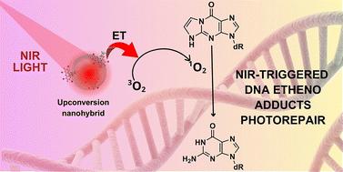 Upconversion nanohybrids for NIR-induced photorepair of DNA etheno adducts†