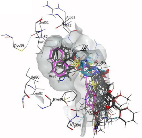 Inhibition of the Clathrin Terminal Domain—Amphiphysin Protein–Protein Interaction. Probing the Pitstop 2 Aromatic Moiety