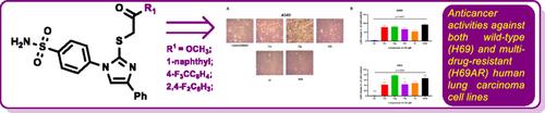 Synthesis and Characterization of Sulfonamide-Imidazole Hybrids with In Vitro Antiproliferative Activity against Anthracycline-Sensitive and Resistant H69 Small Cell Lung Cancer Cells
