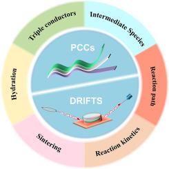 A comprehensive review of diffuse reflectance infrared Fourier transform spectroscopy (DRIFTS) techniques in protonic ceramic cells (PCCs): Current status and future perspective