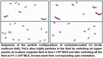 Magnetically controlled cluster formation/dissociation in high-moment nanoparticle-based ferrofluids†
