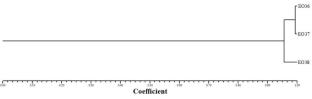 Chemometric comparison based on volatile compound composition and plant family of some commercial essential oils used in Morocco and Spain
