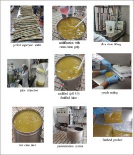 Processing of vitamin C-fortified sugarcane juice: the combined effect of high hydrostatic pressure and heat treatment