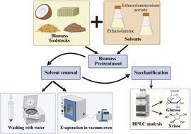 Comparison between two different approaches for the deconstruction of lignocellulosic feedstocks using alkanolamine-based solvents†