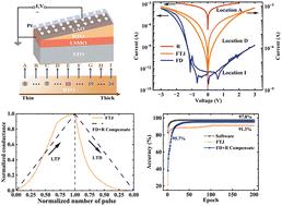 Adaptive ferroelectric memristors with high-throughput BaTiO3 thin films for neuromorphic computing†