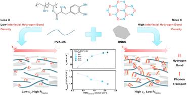 Boosting thermal conductivity of boron nitride incorporated polymer composites via hydrogen bonding engineering†