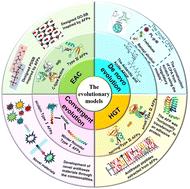 The evolution of antifreeze proteins and the inspiration for the development of novel antifreeze materials