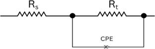 Eco-friendly synthesis of cobalt nanoparticles from Erythrina crista-galli leaves for enhanced anticorrosive performance
