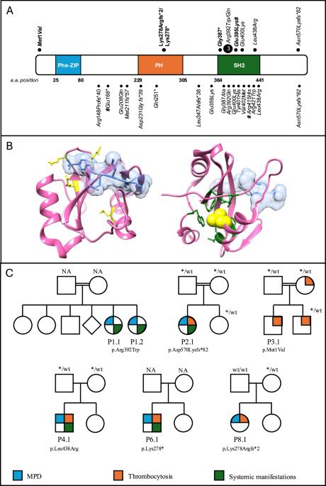 Biallelic SH2B3 germline variants are associated with a neonatal myeloproliferative disease and multisystemic involvement
