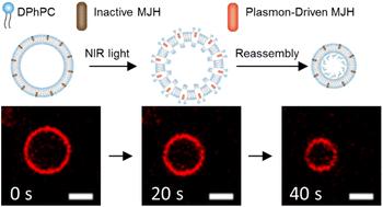 Mechanism of plasmon-driven molecular jackhammers in mechanical opening and disassembly of membranes†
