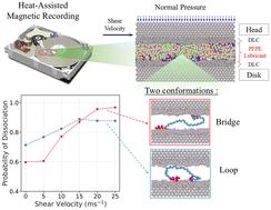 ReaxFF molecular dynamics study of mechanochemical degradation of PFPE lubricants on DLC in heat-assisted magnetic recording†
