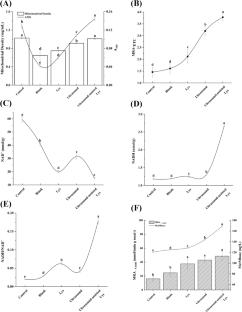 Ultrasound-assisted L-lysine improves color stability of porcine Longissimus Dorsi by regulating mitochondrial functional characteristics