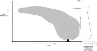 Dense Fog Episode Over Kolkata Airport During 23/01/2025 to 24/01/2025: The Synoptic Influence