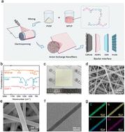 Biphasic anion-exchange nanofibers enable bipolar junction engineering for enhanced electrocatalytic CO2 conversion in acidic media†