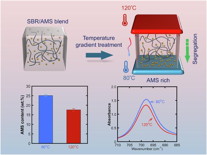 Segregation behavior of a tackifier in styrene-butadiene rubber under a temperature gradient