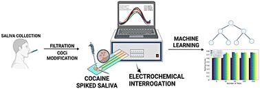 Target analyte assisted sensitive electrochemical detection of cocaine on screen printed electrodes†