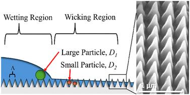 Nanoparticle dispersion and separation in superhydrophilic nanostructures†