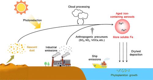 Anthropogenic Dominance and Secondary Processes Drive Aerosol Iron Solubility in Asian Continental Outflow: Insights from Spring Qingdao, China